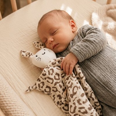 Doudou bebe tigré