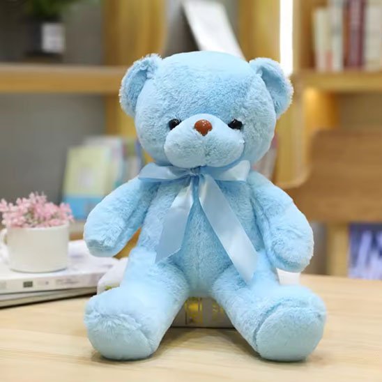 Ours en peluche 